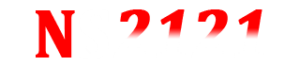 NS2121 LOGO